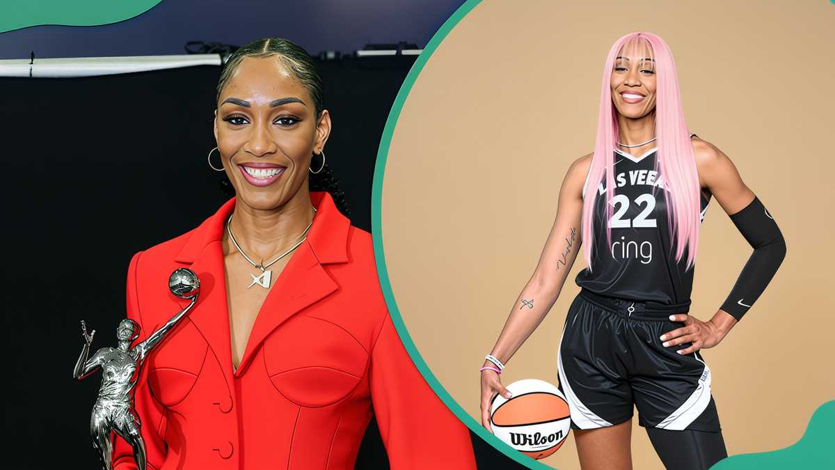 A look at A'ja wilson's boyfriend, Bam Adebayo, and her previous relationships