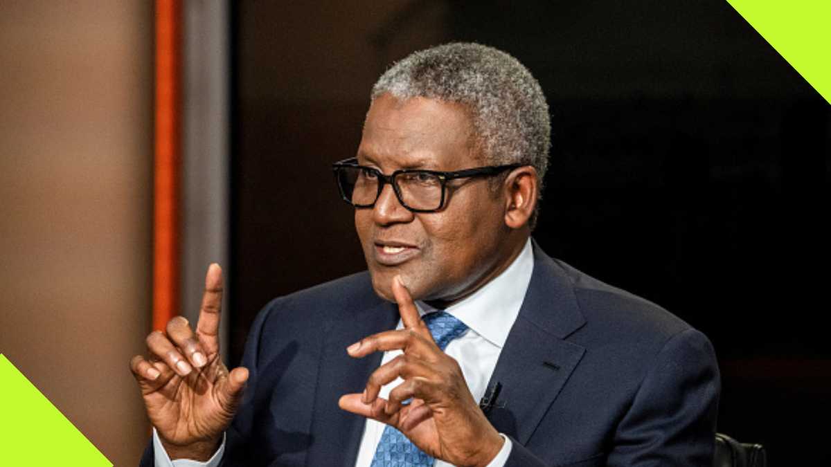 Africa’s Richest Man, Dangote, Shares What Government Can Do To Attract Foreign Investors To Nigeria
