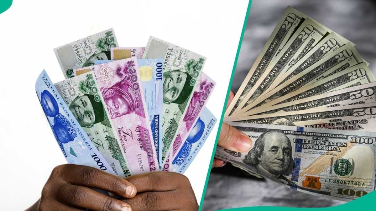 CBN Releases New Exchange Rate as Naira Rebounds Against Dollar in Official Window