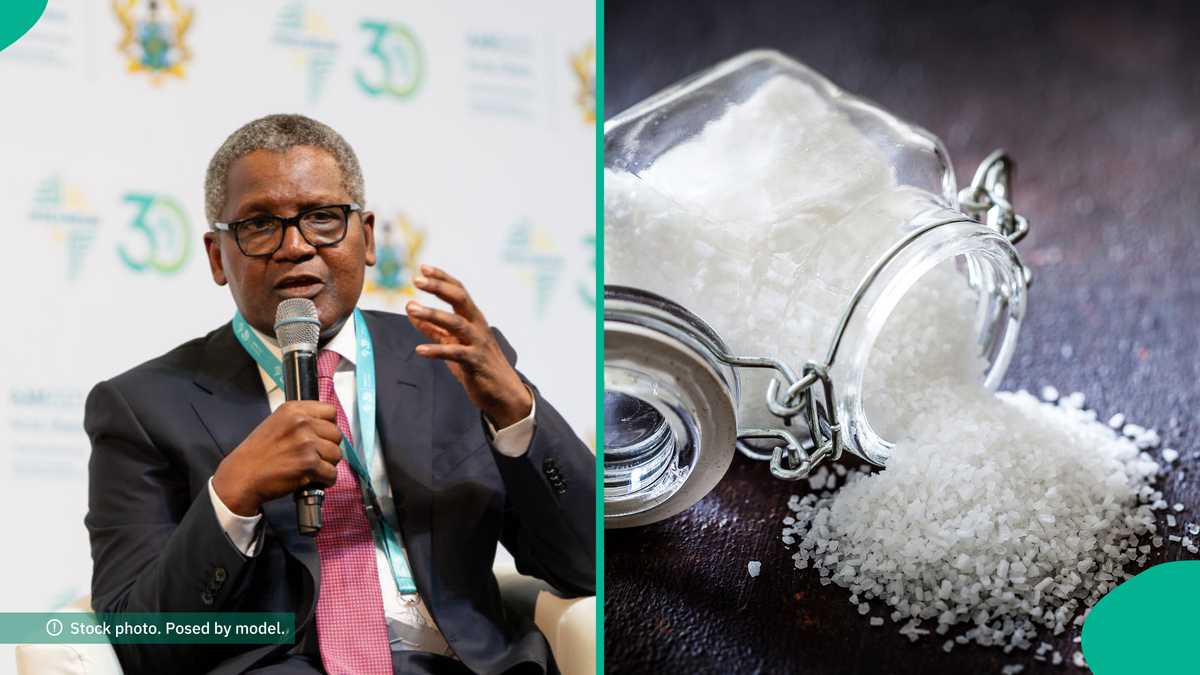 Dangote Group Releases 4 Easy Steps To Become Its Salt Distributor