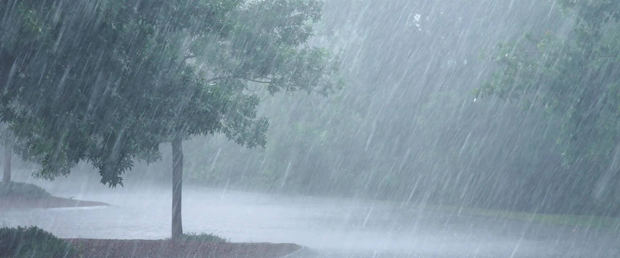 Jigawa witnesses first rain of 2025 wet season