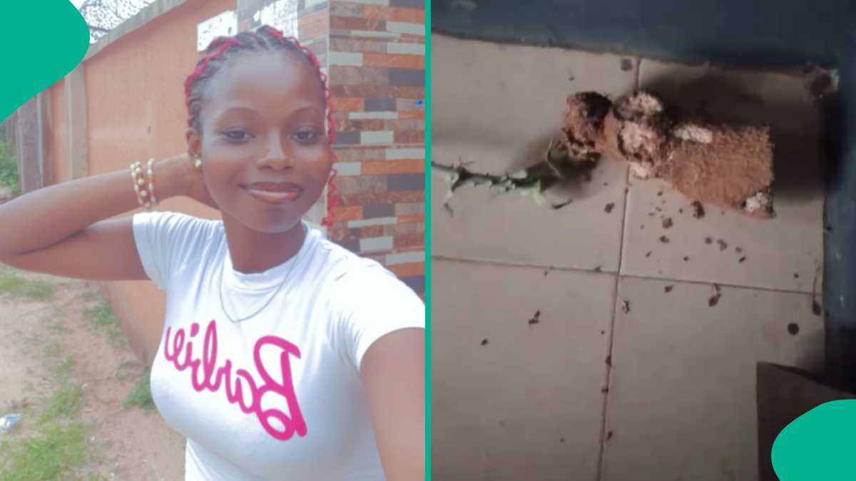 Lady Who Left Half Tuber of Yam And Travelled Displays What She Saw When She Returned