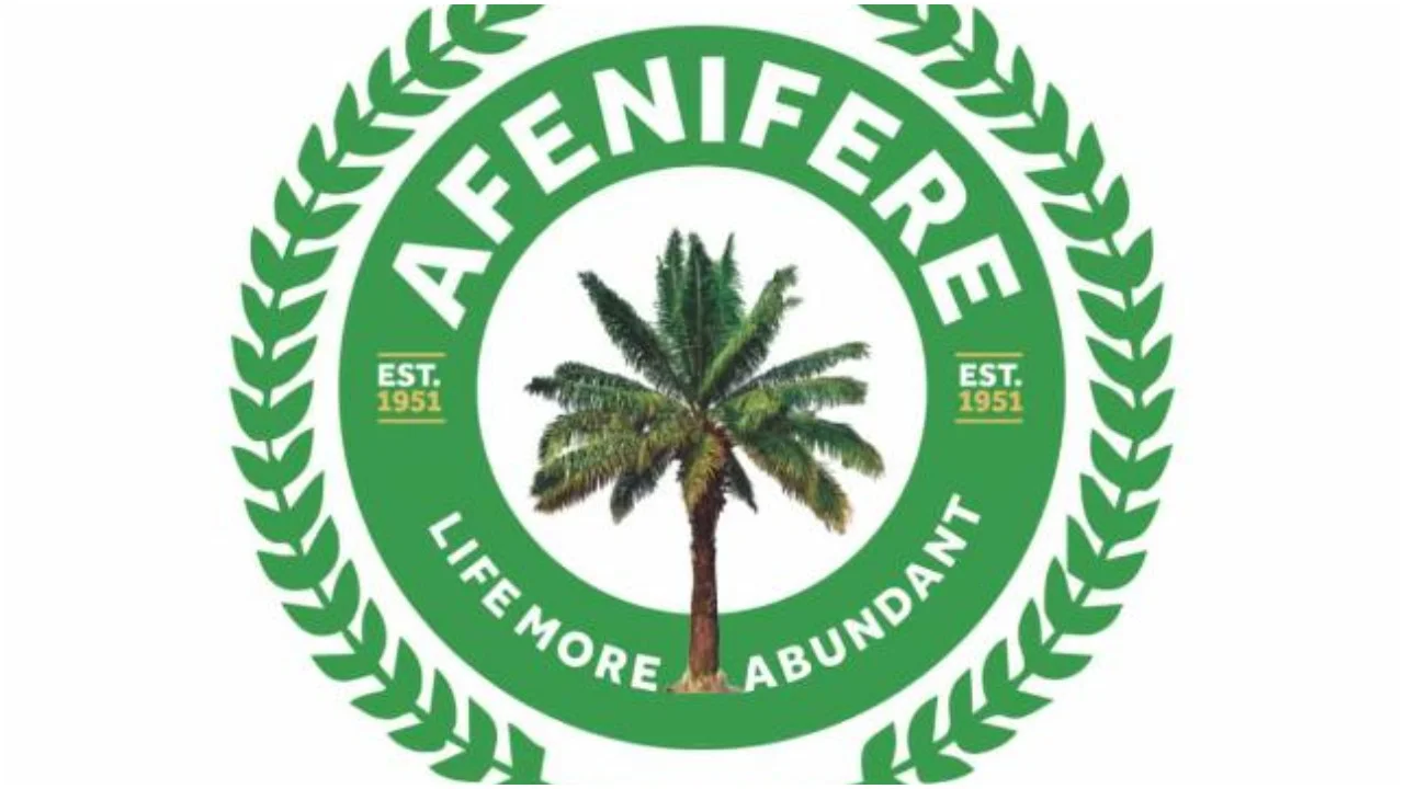 Lagos LG poll: Afenifere calls for violence-free election