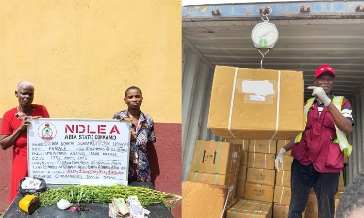 NDLEA Intercepts ₦3.2 Billion Worth Of Drugs, Arrests 80-Year-Old Ex-Convict, 82-Year-Old Grandma