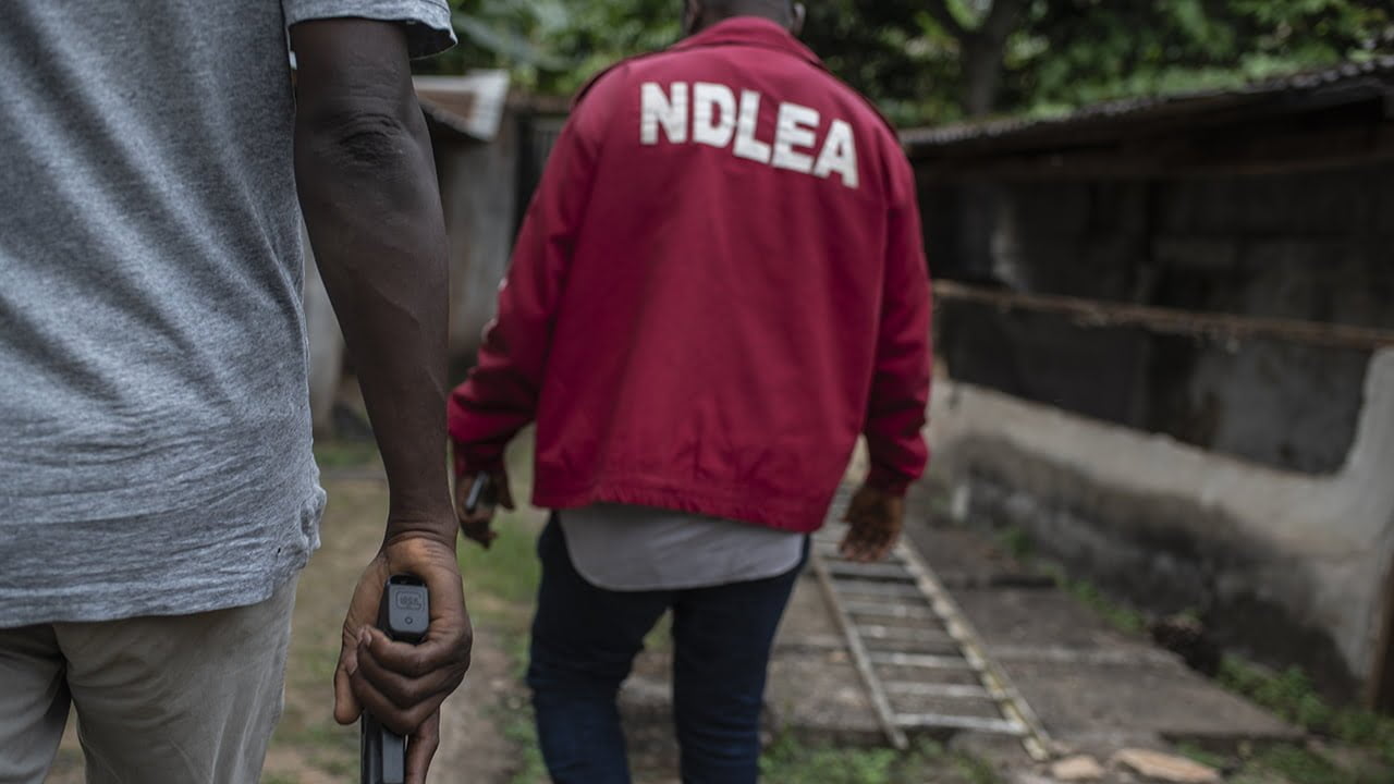 NDLEA nabs 80-year-old veteran drug dealer in major Kaduna bust