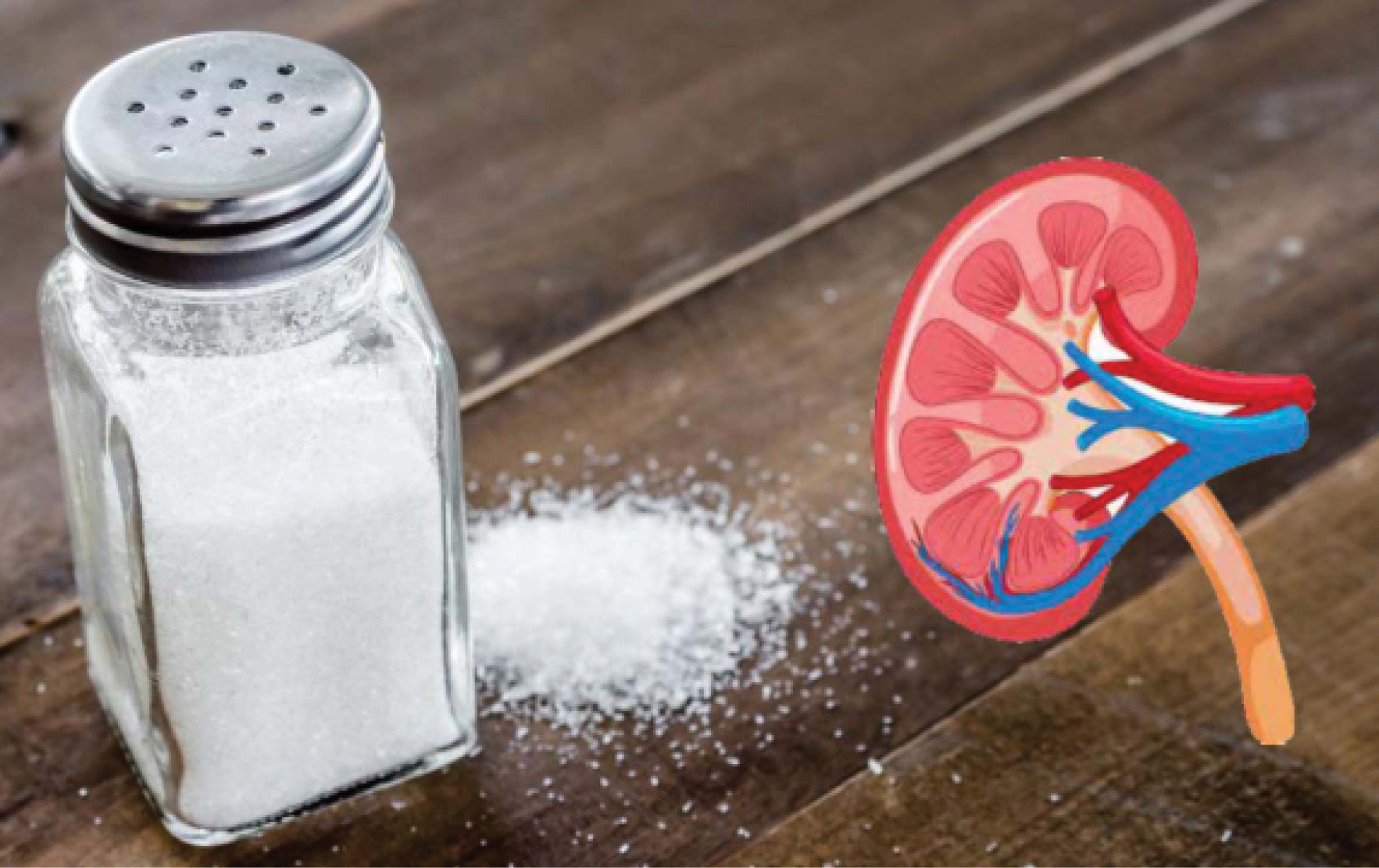 NHED Urges Mandatory Sodium Targets, Warning Labels
