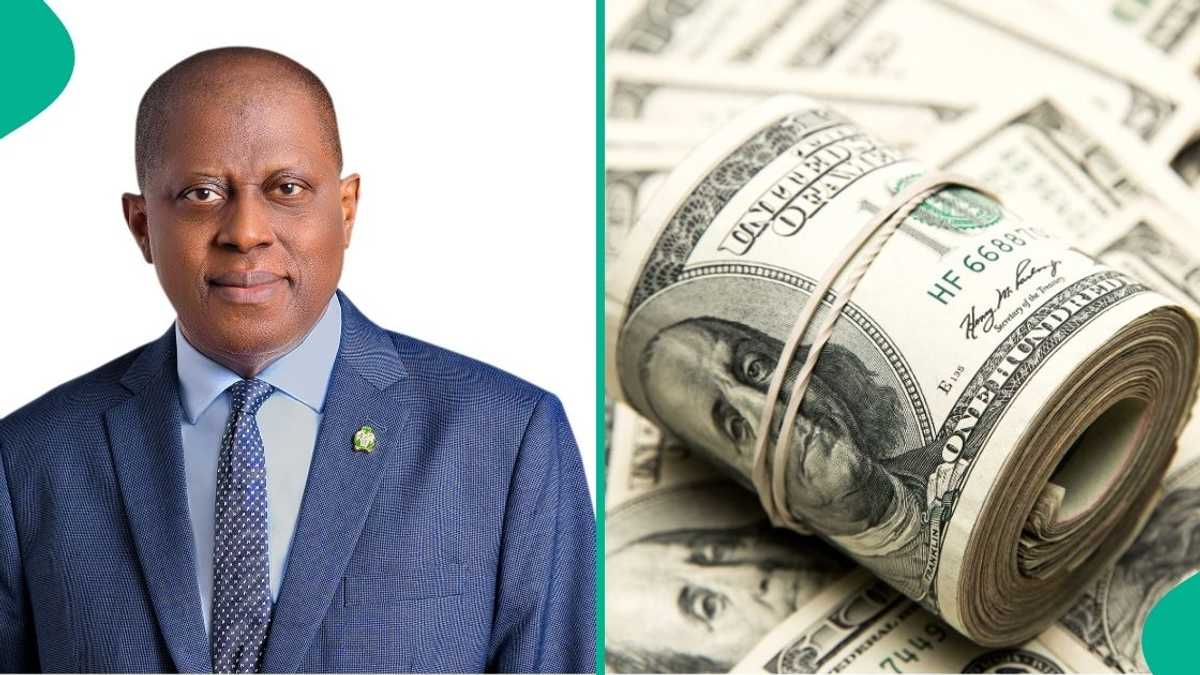 Nigeria’s FX Reserves Fall to 8-Month Low as Naira Makes Biggest Gains in All Markets