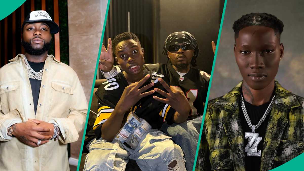 Peller: Zinoleesky, Davido, Other Popular Stars Who Have Appeared on TikToker’s Live Stream