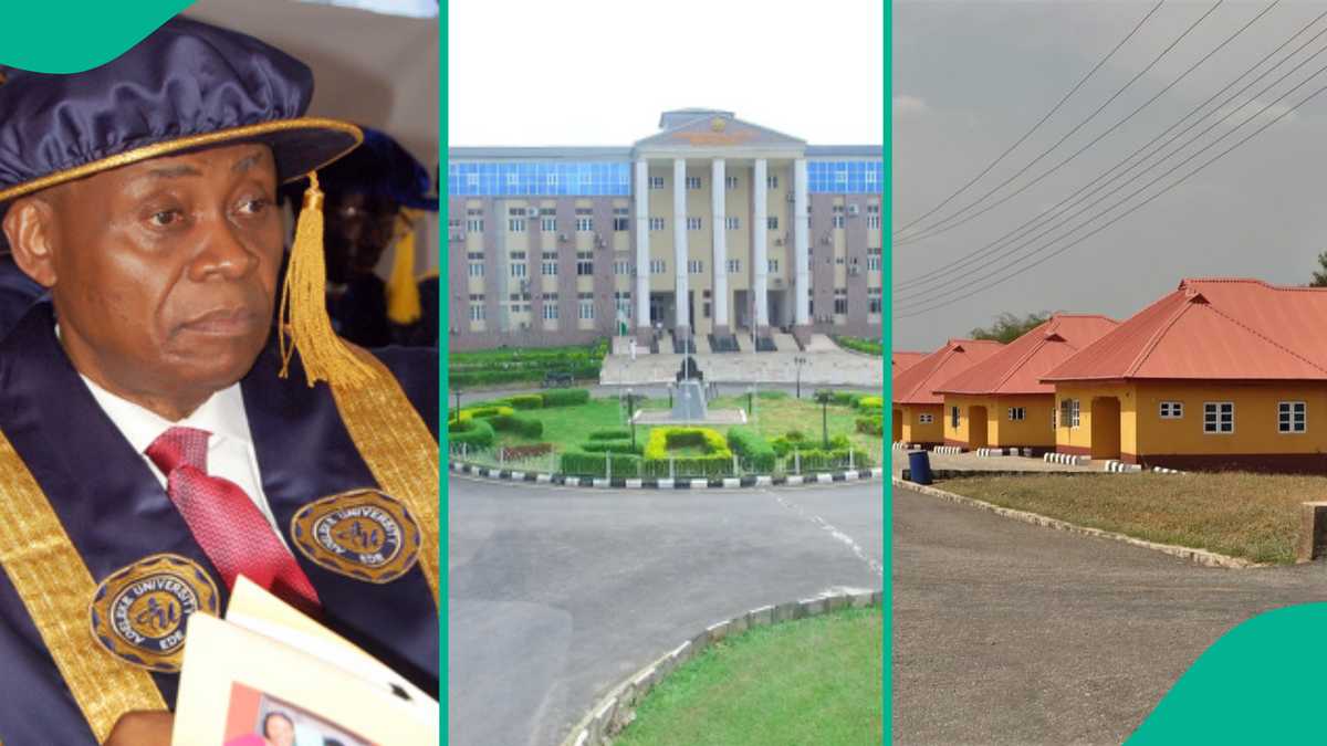 School Fees, Courses at Adeleke University Owned By Davido's Father