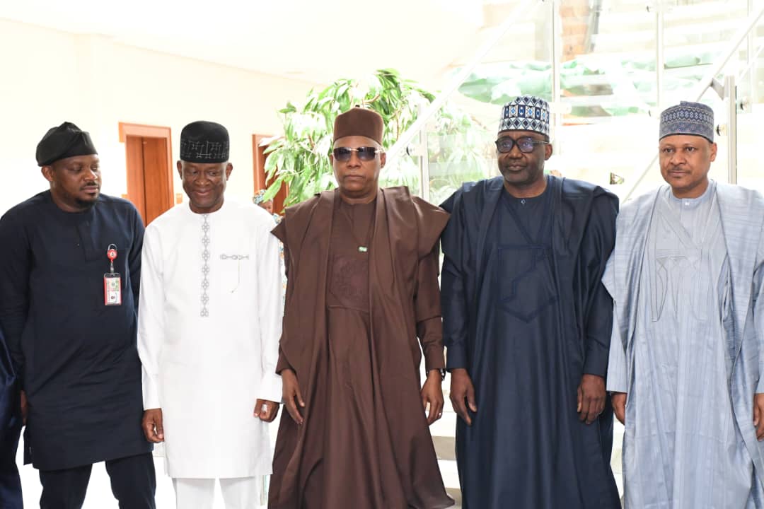 We’re Building Digital Bridges To Take MSMEs Across Africa — Shettima
